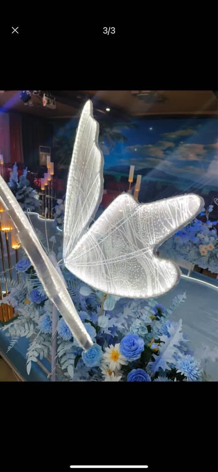 Lightup butterflies , ready to hire photo 5