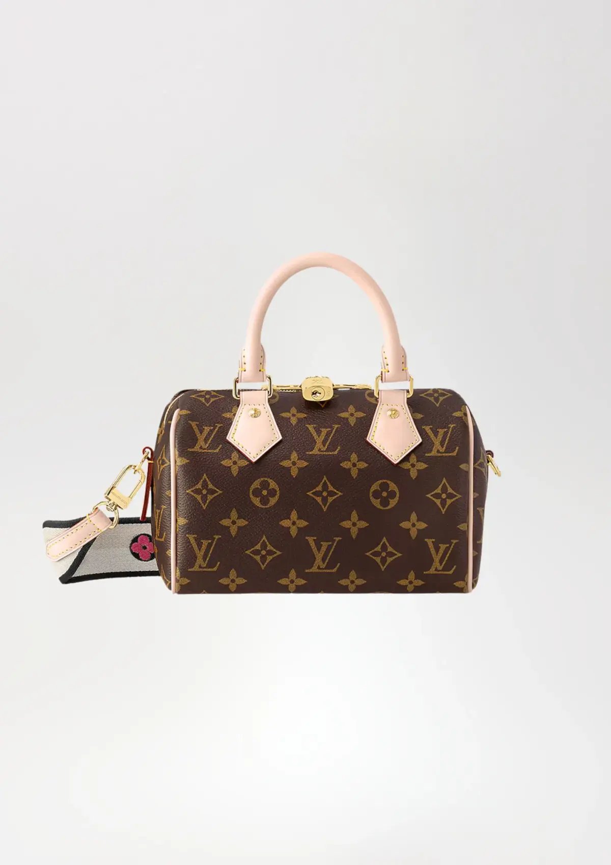 Louis Vuitton Speedy Bandoulière 20 photo 2