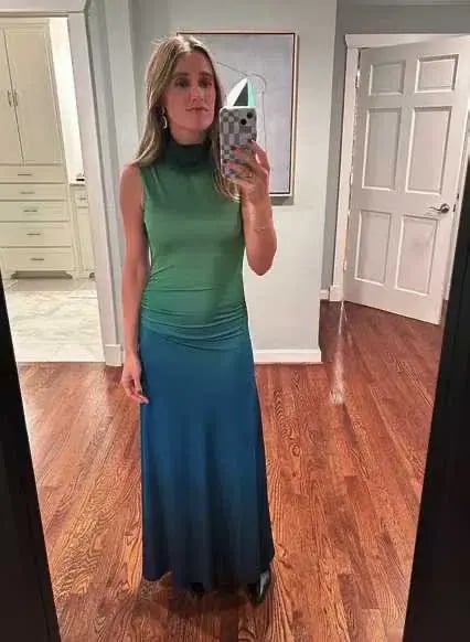 Simkhai Aldina Ruched Ombre Stretch Jersey Turtleneck Gown Multi Size S / AU 8 photo 5