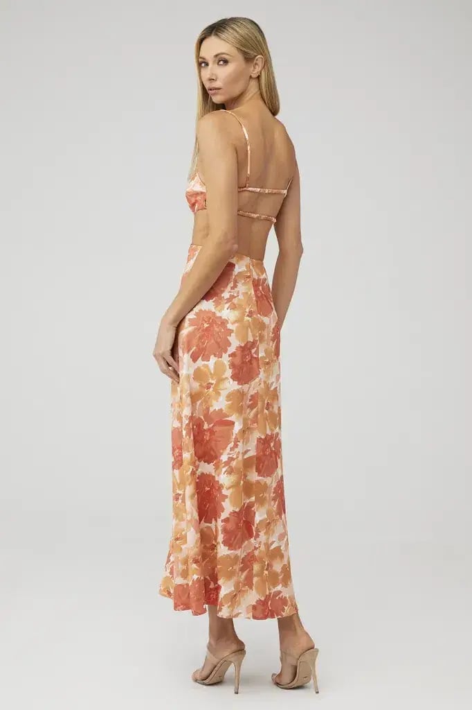 Significant Other Maeve Maxi Dress Scarlet Poppy Floral Size 6 photo 2
