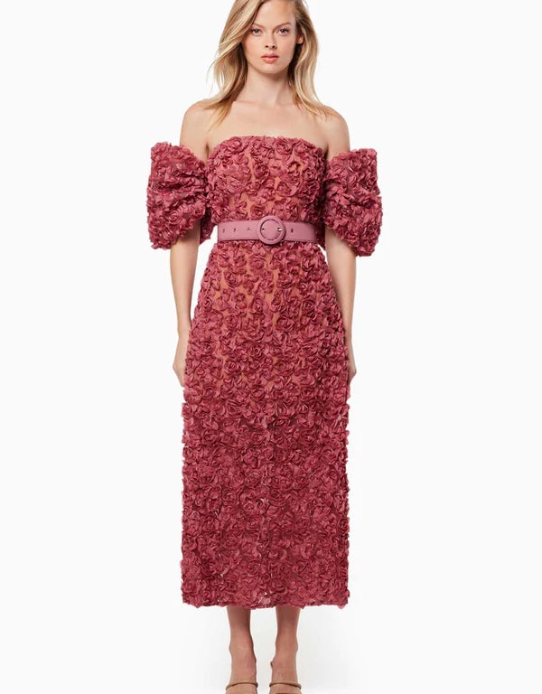 Elliatt Intimacy Dress photo 2