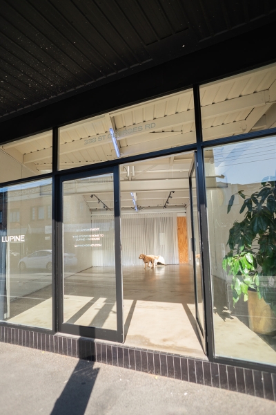 Lupine Studio photo 8