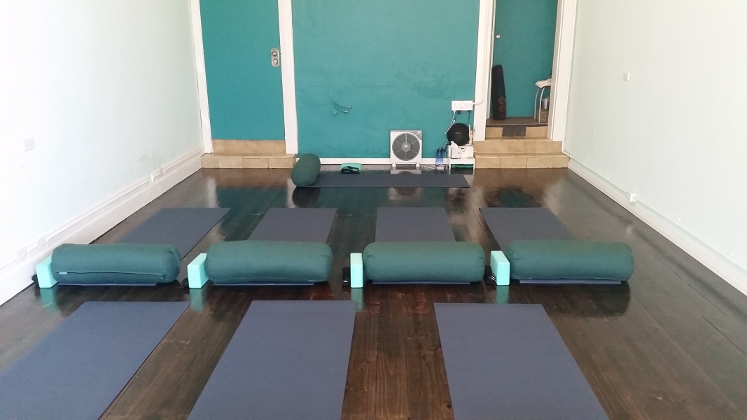 Flexible Space in Tofu for Dolphins Studio photo 2