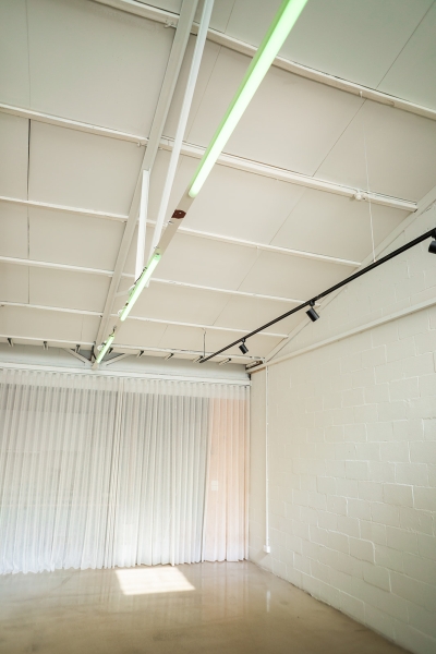 Lupine Studio photo 3