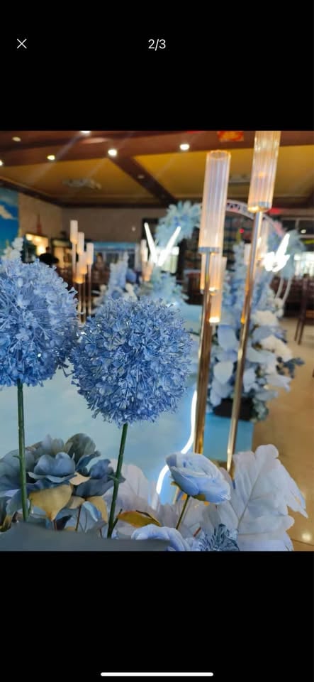 Lightup butterflies , ready to hire photo 2