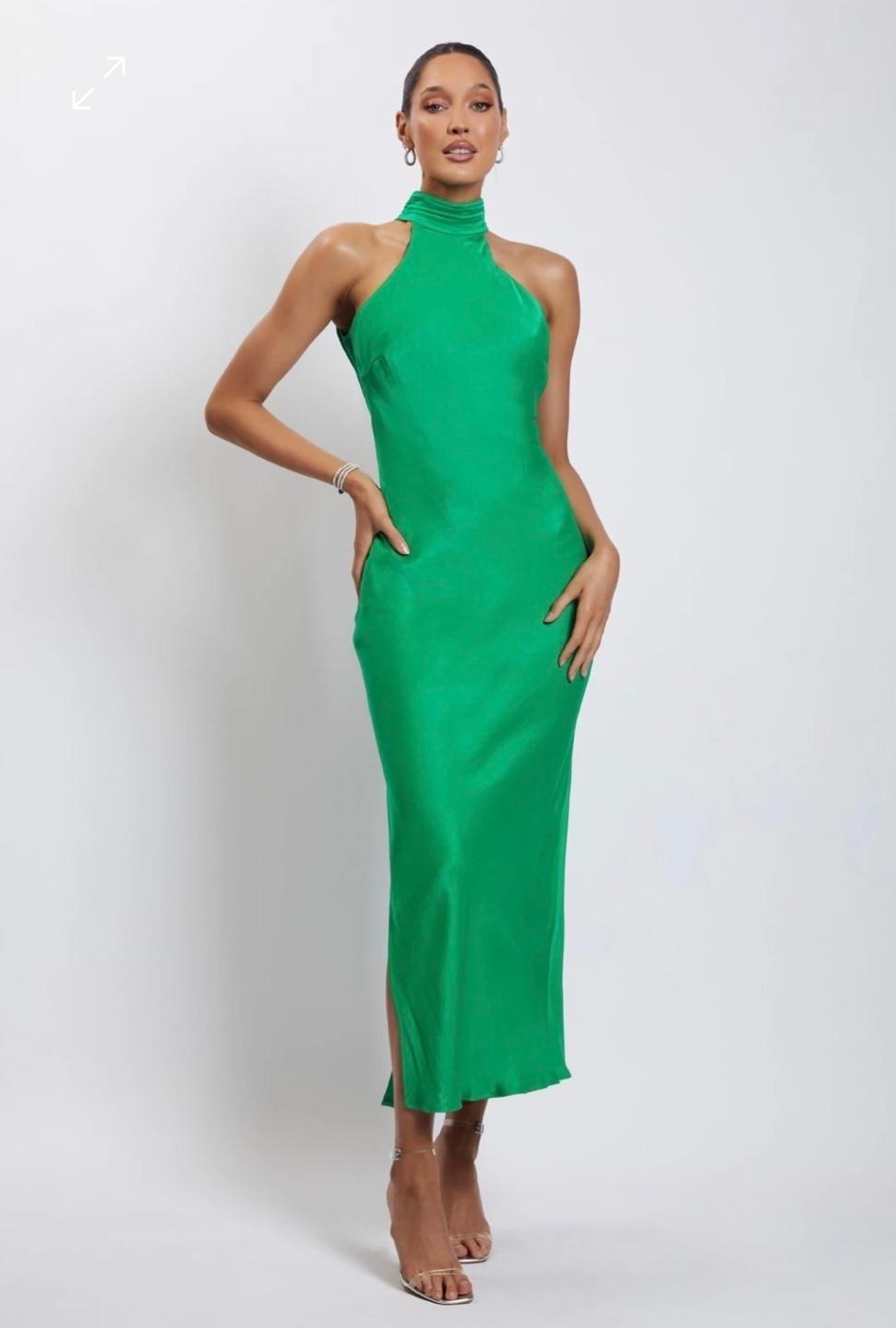 Meshki Claire Dress photo 2