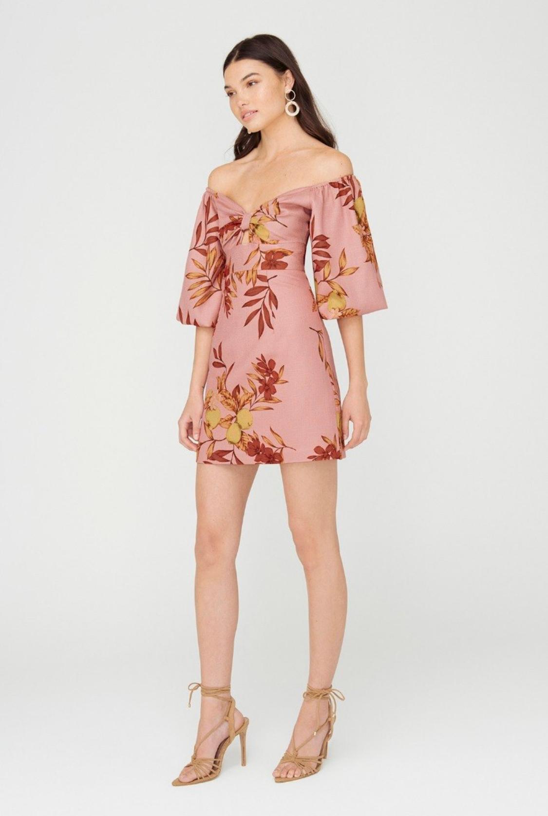 Sheike Layla Dress Size 6 photo 2