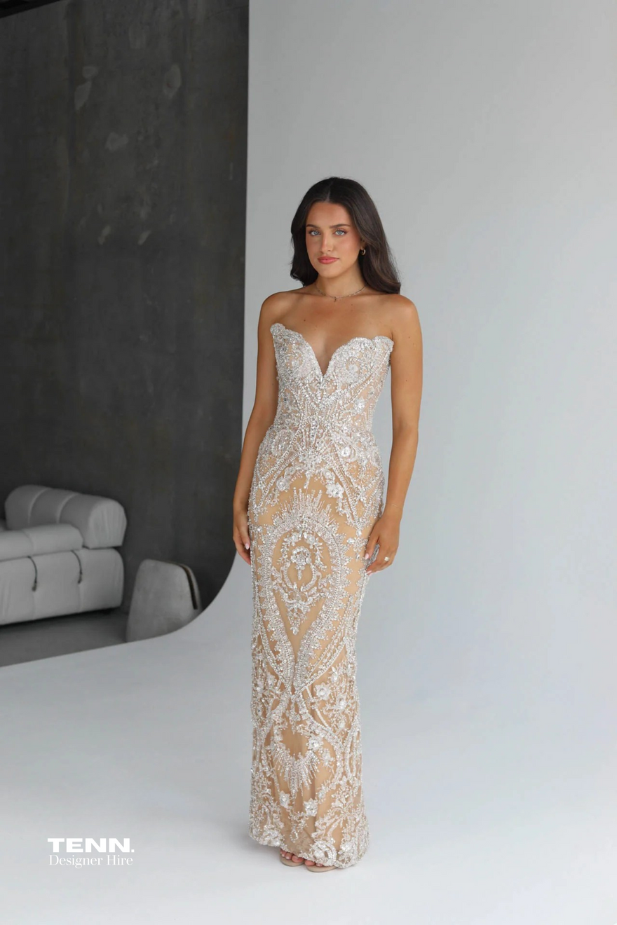 Albina Dyla Treasure Gown (Corset Silver Dress) photo 4