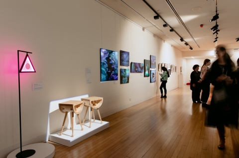Studio 13 - Collins Street Studios photo 12