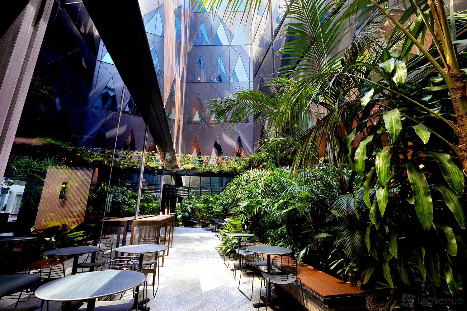 Solander + Atrium at West Hotel Sydney, Curio Collection by Hilton photo 2