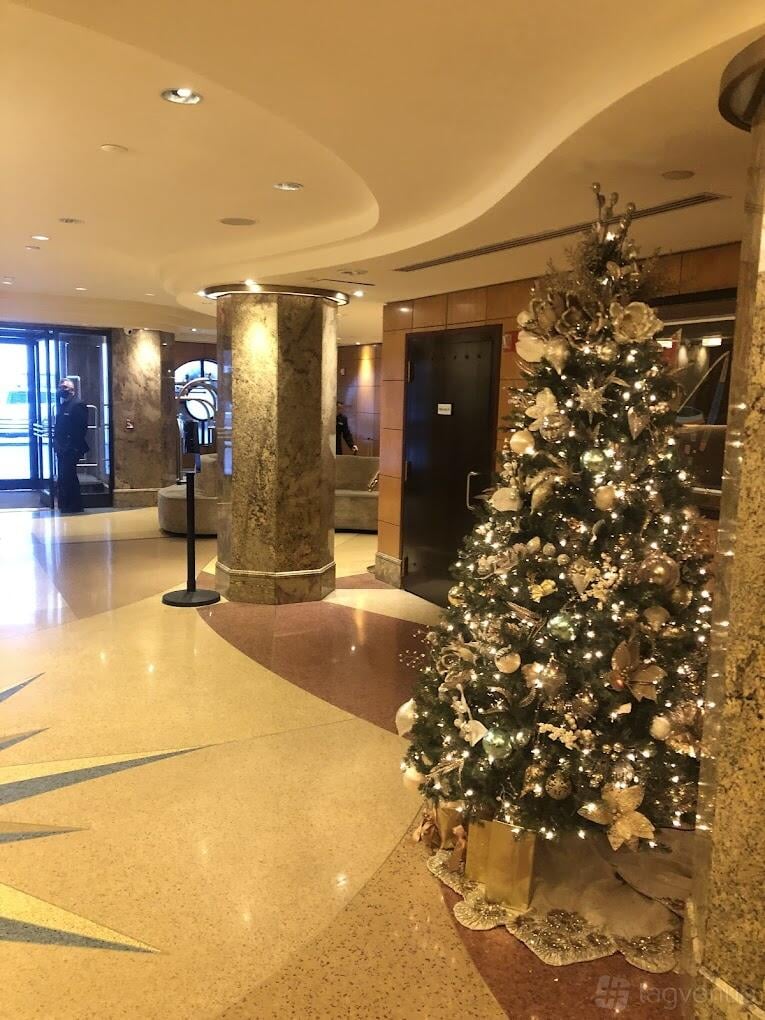 Level 1 at The Belvedere Hotel photo 7