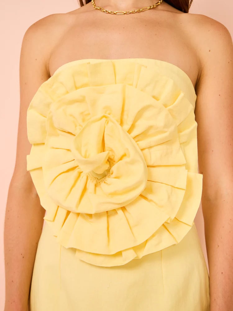 Issy Issy Rose Bodice Mini Dress | Citrus photo 3