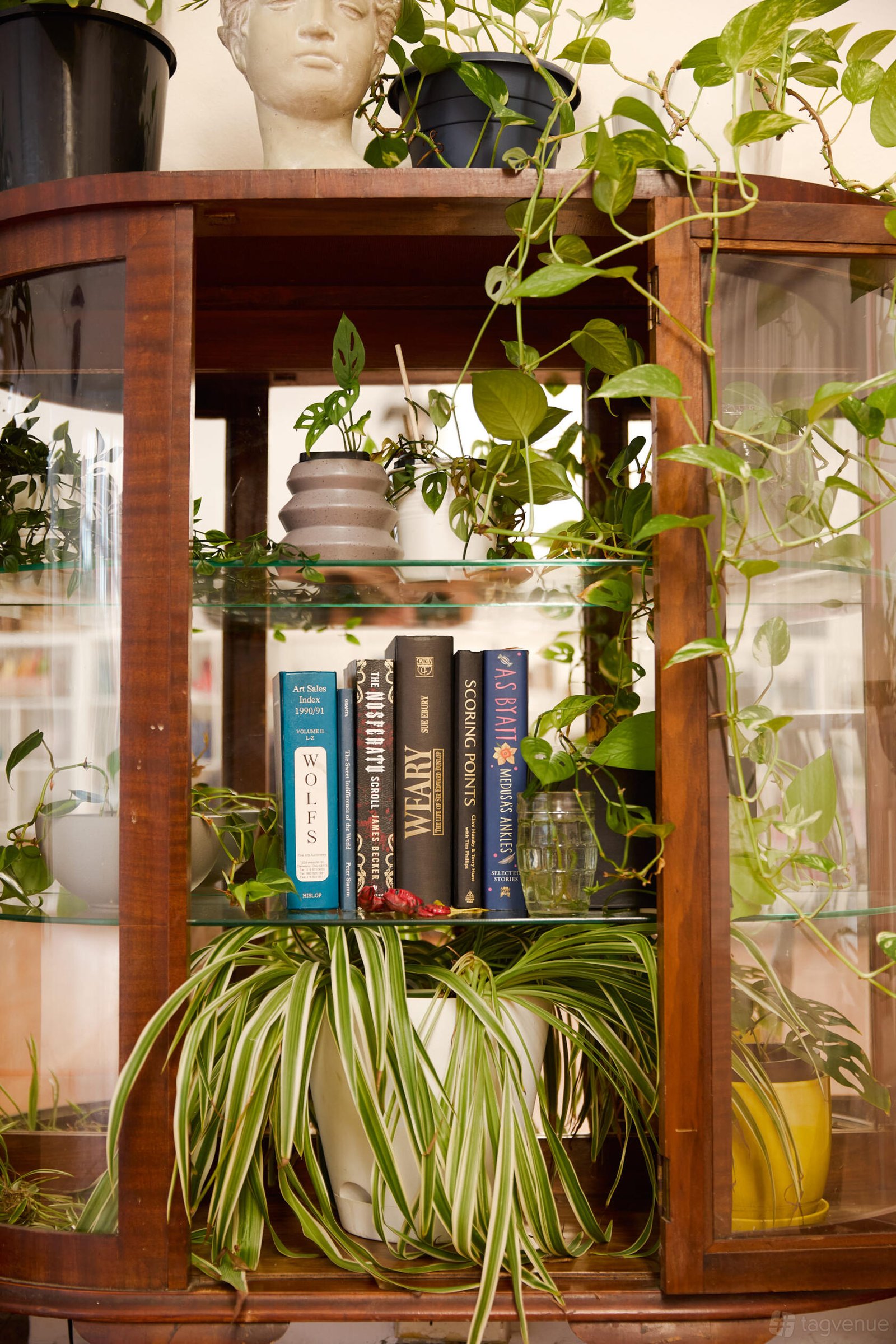 Entire Space at The Sunroom photo 9
