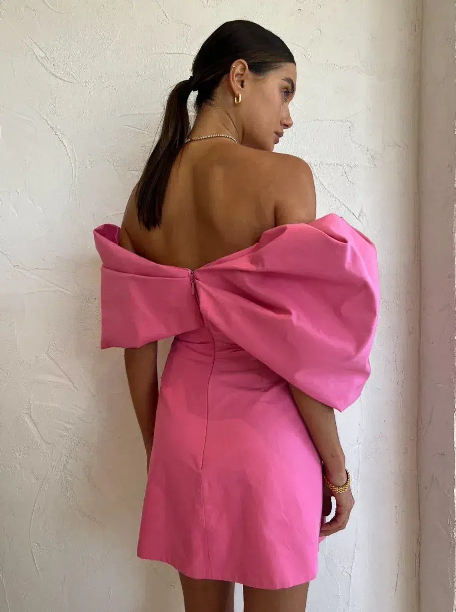 Rachel Gilbert Xavier Mini Dress Pink Size 0 / AU 6 photo 5