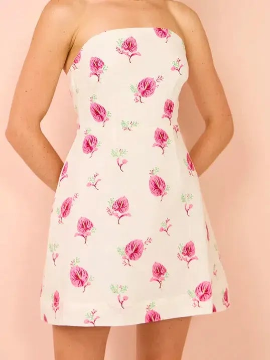 Aston Studio Beatrix Mini Dress In Arisa Anthurium Size 8 photo 2