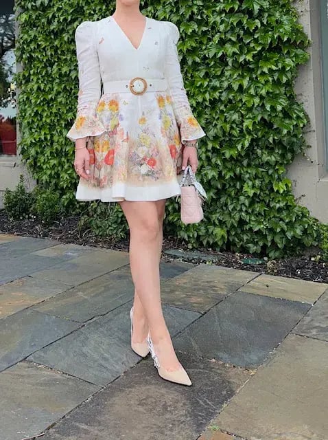 Zimmermann Tranquillity Mini Dress Red Butterflies Size 1 / AU 10 photo 3
