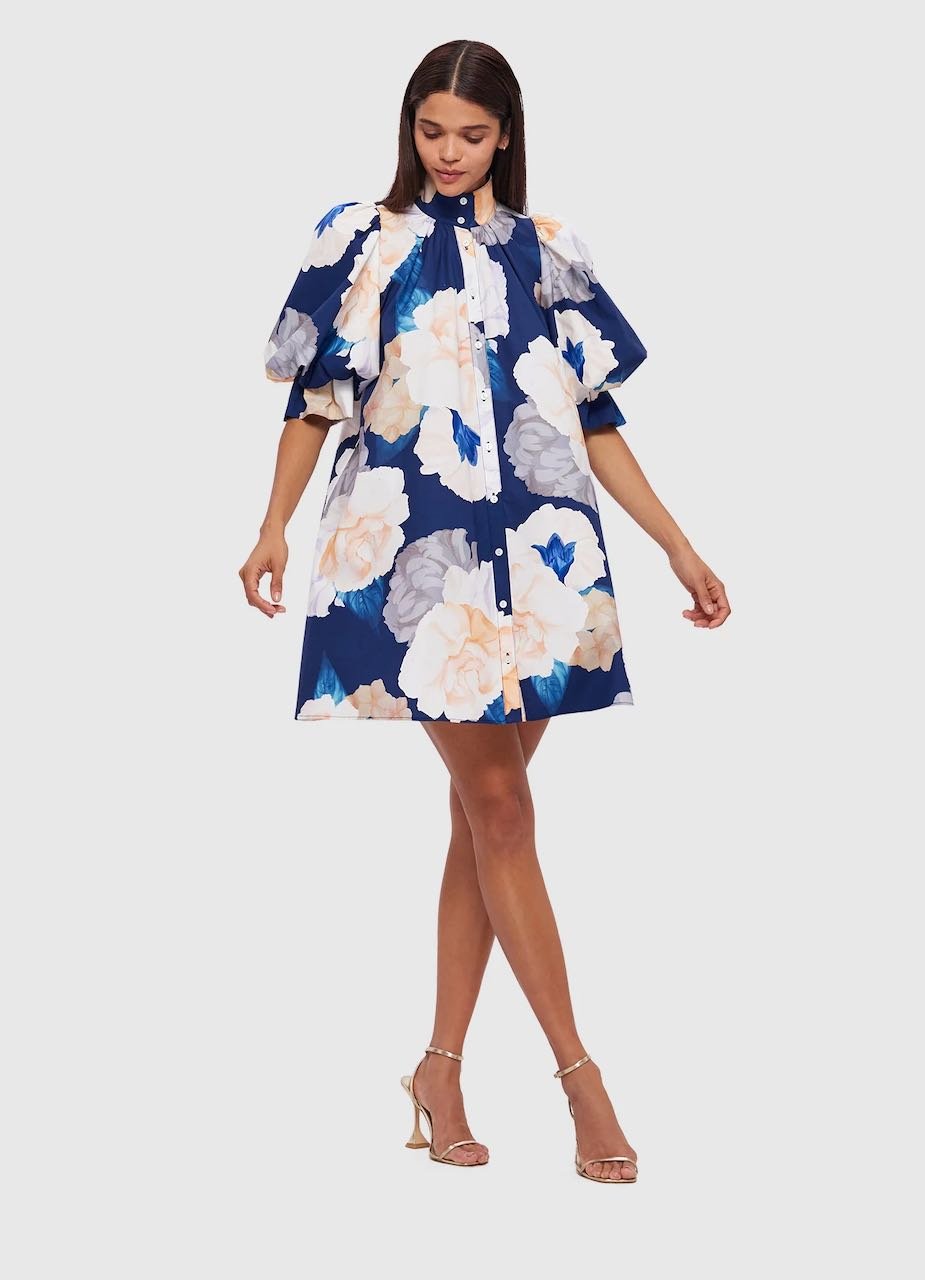 LEO LIN ELI MINI DRESS - ROSEBUD PRINT IN NAVY photo 5
