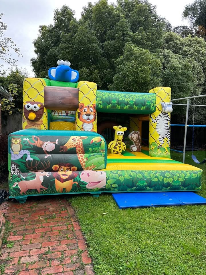 JUMPING CASTLE HIRE photo 9