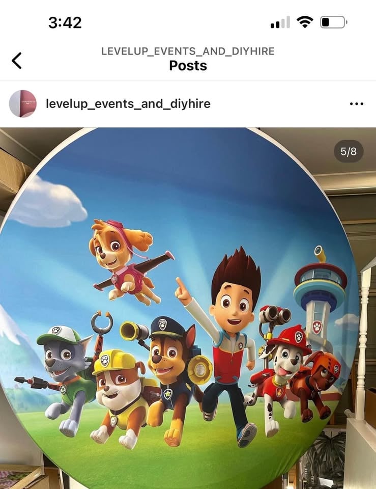 Paw patrol package hire photo 3