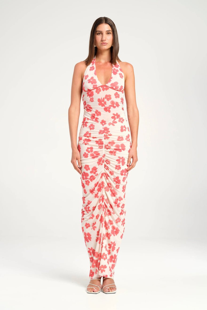 Benni Pierre Maxi Dress - Blushwood photo 2