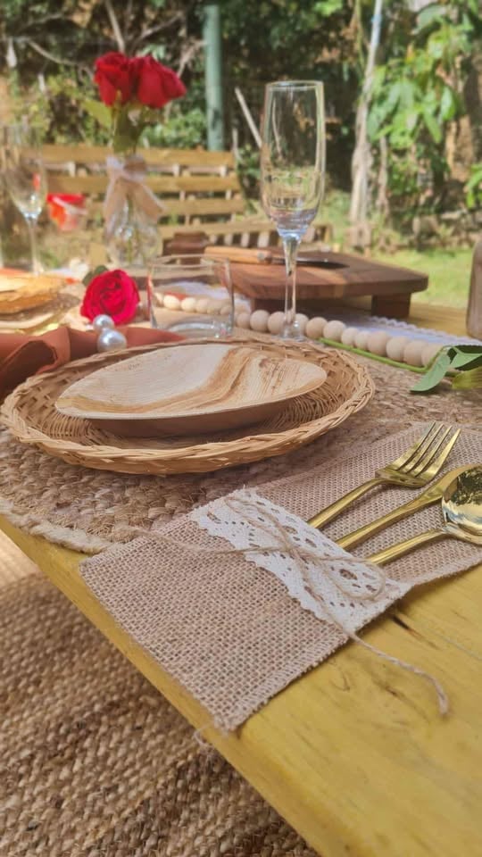 Picnic hire- Taringa photo 9