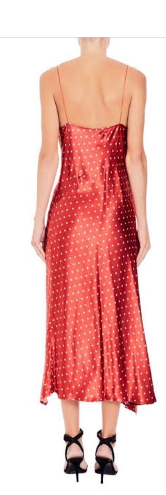 Bonjour Dress photo 2