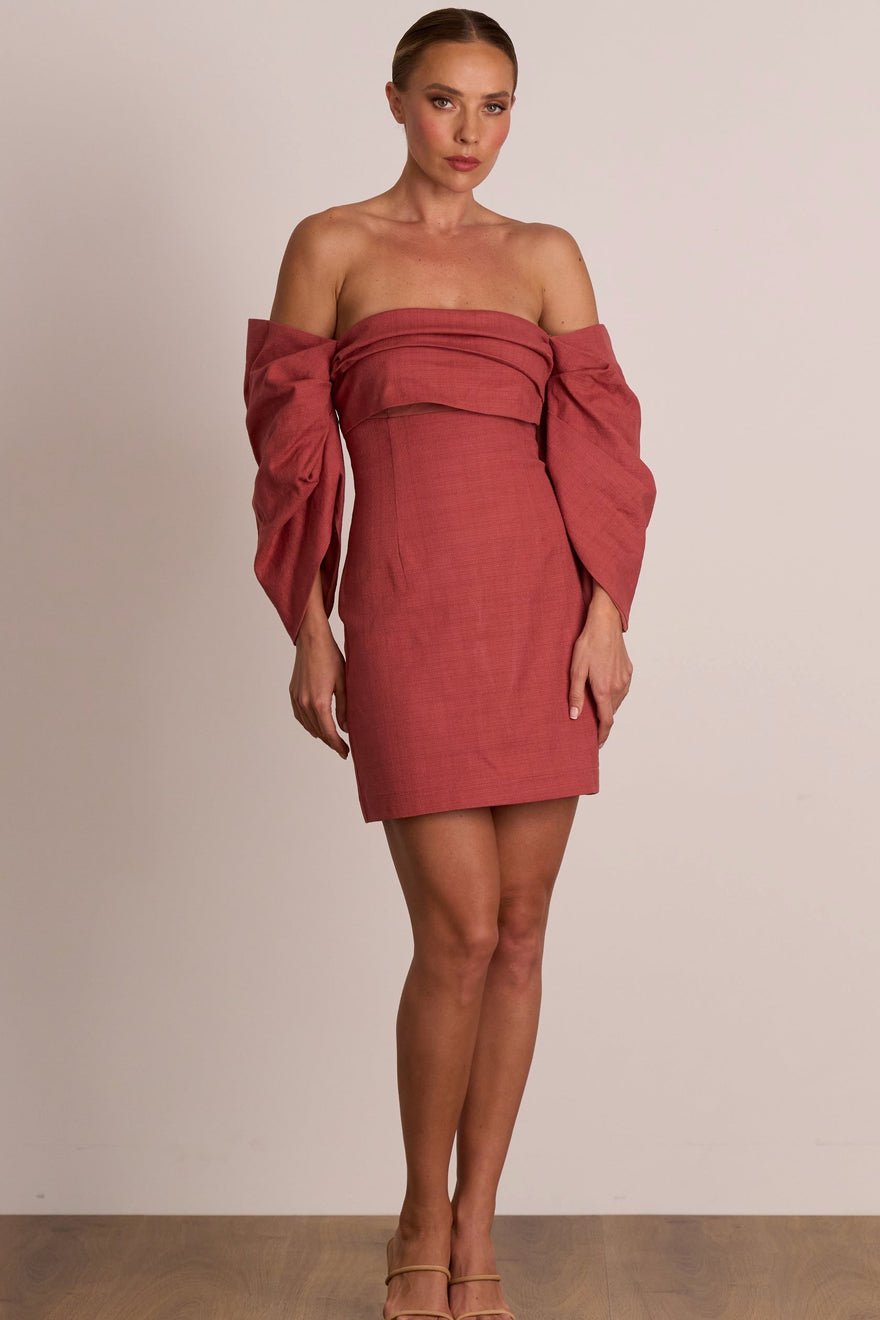 Pasduchas Platinum Party Dress - Rosewood photo 5