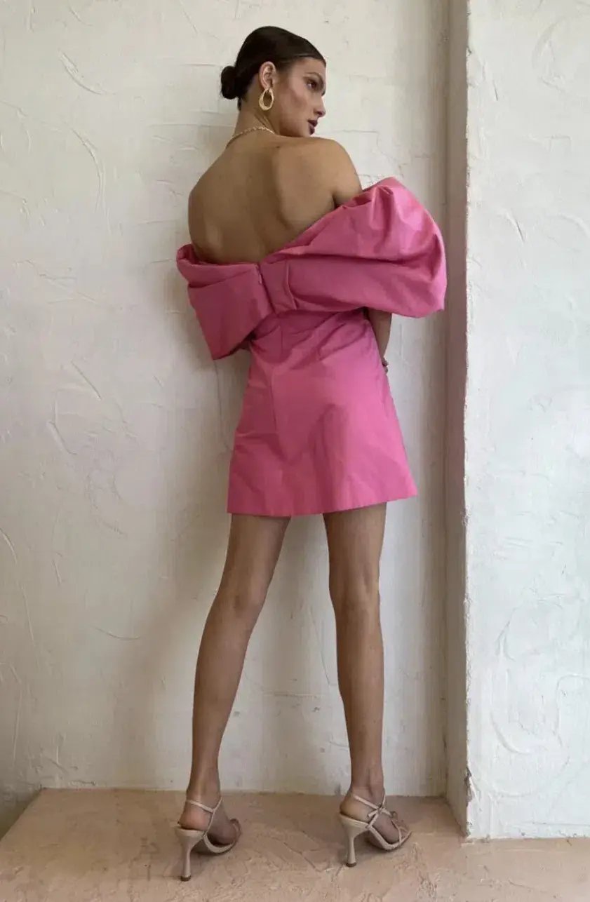 Rachel Gilbert Xavier Mini Dress Pink Size AU 12 photo 5