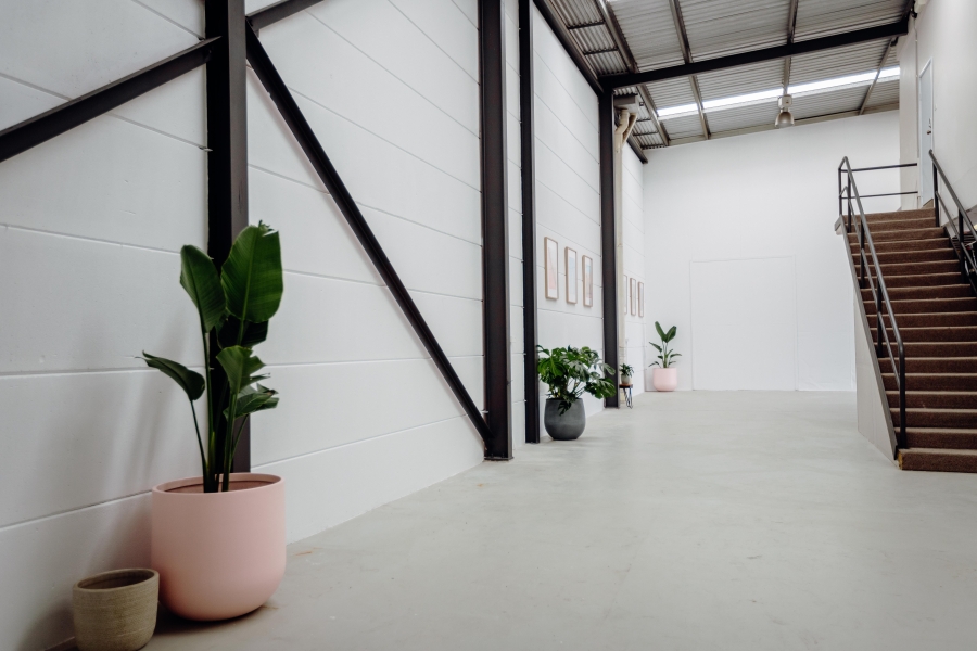 Hustler Studios photo 7