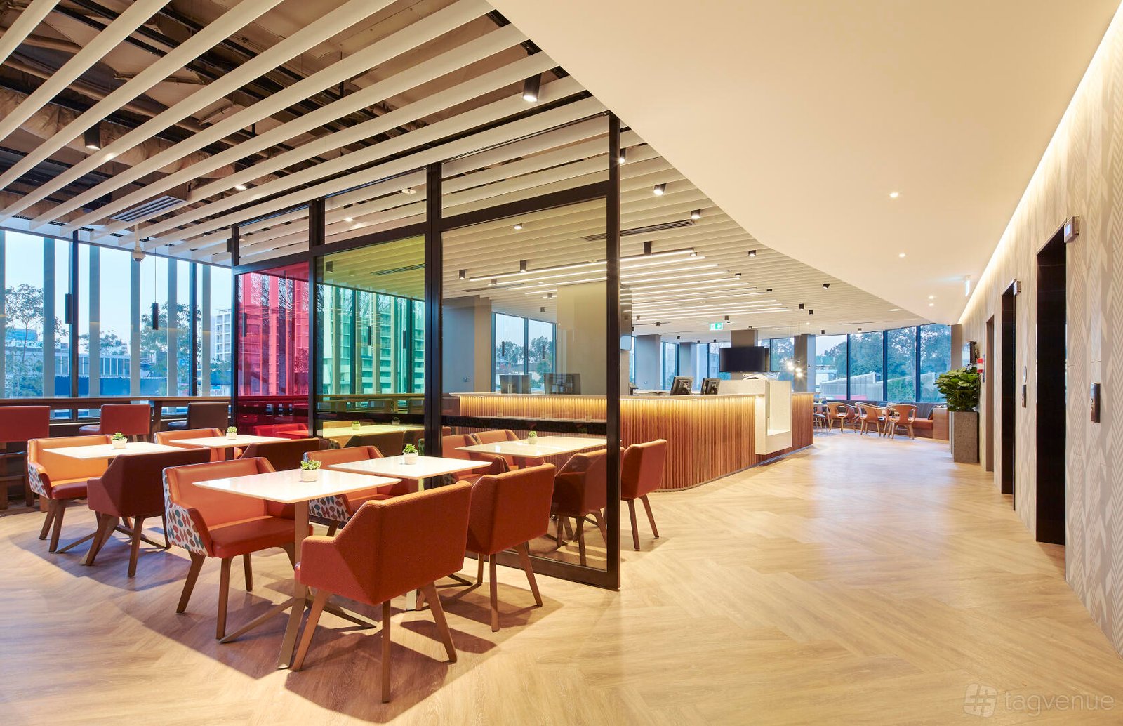 Great Room at Holiday Inn Express Sydney Airport photo 3