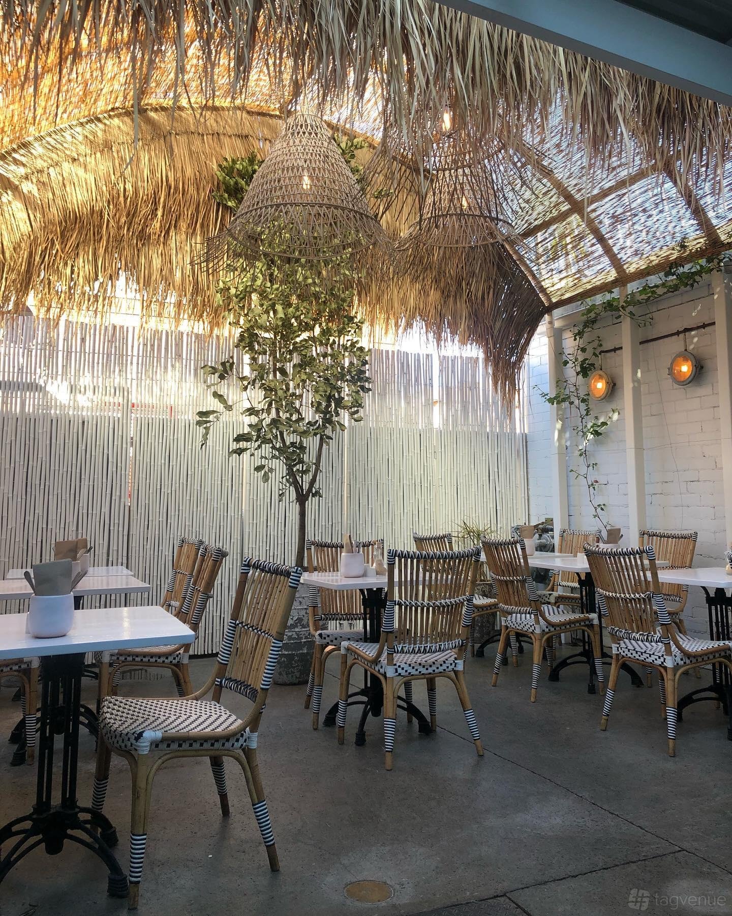 Entire Venue at Zia Kitchen photo 17