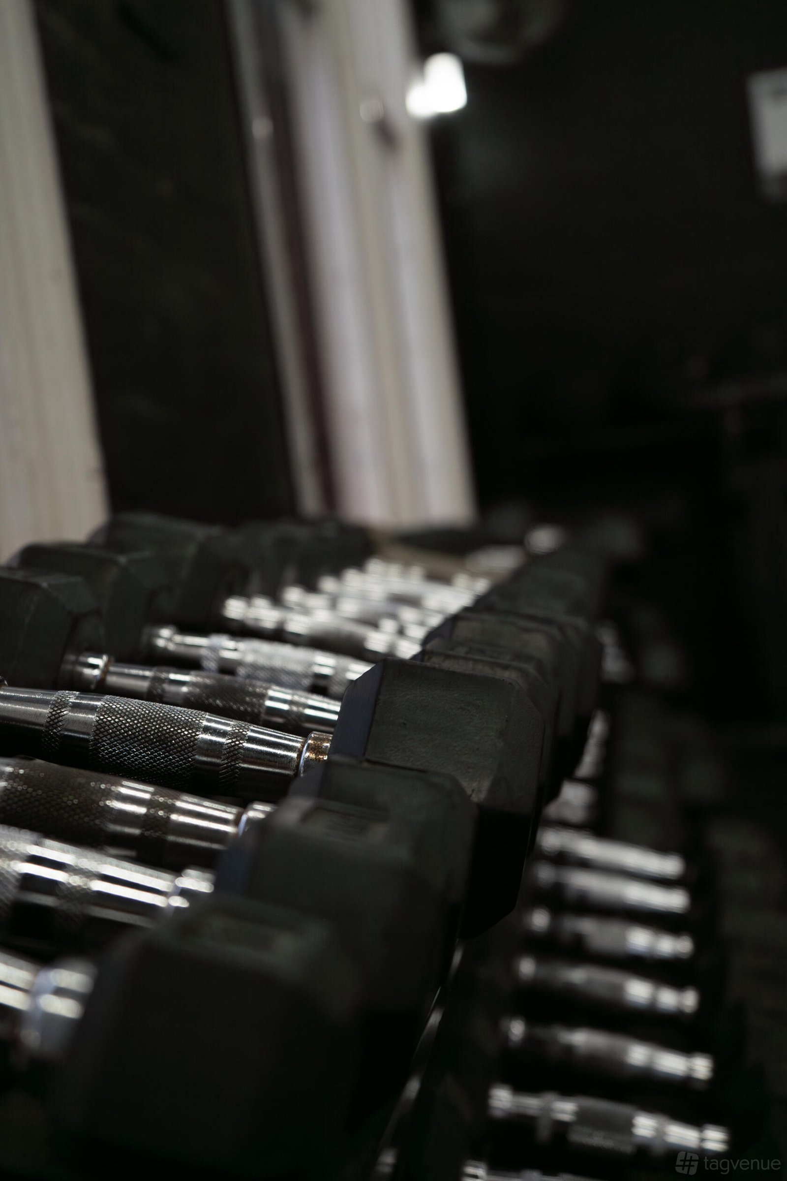 Gym Space at Creature Fitness photo 7