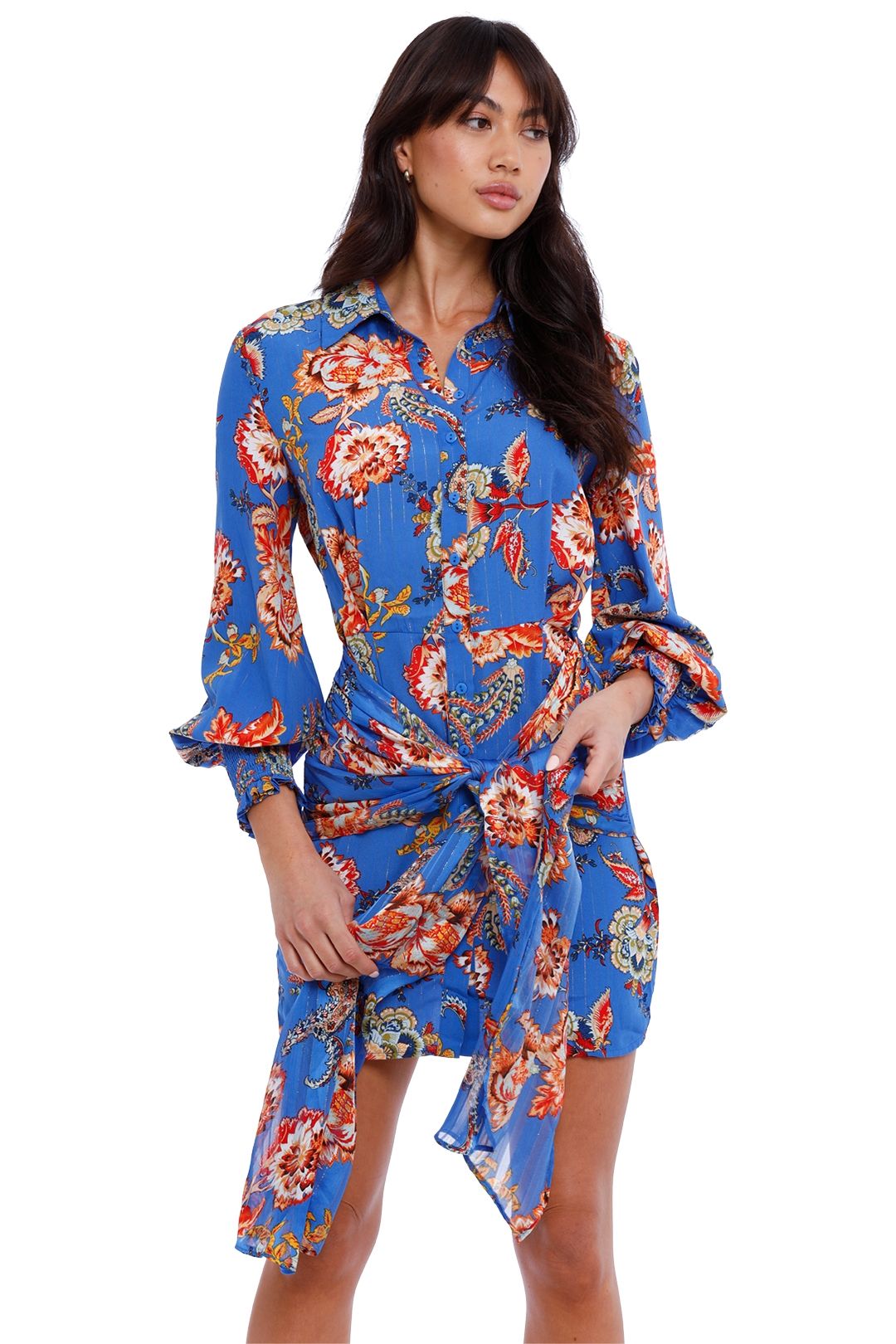 Independence Dress - Blue photo 2