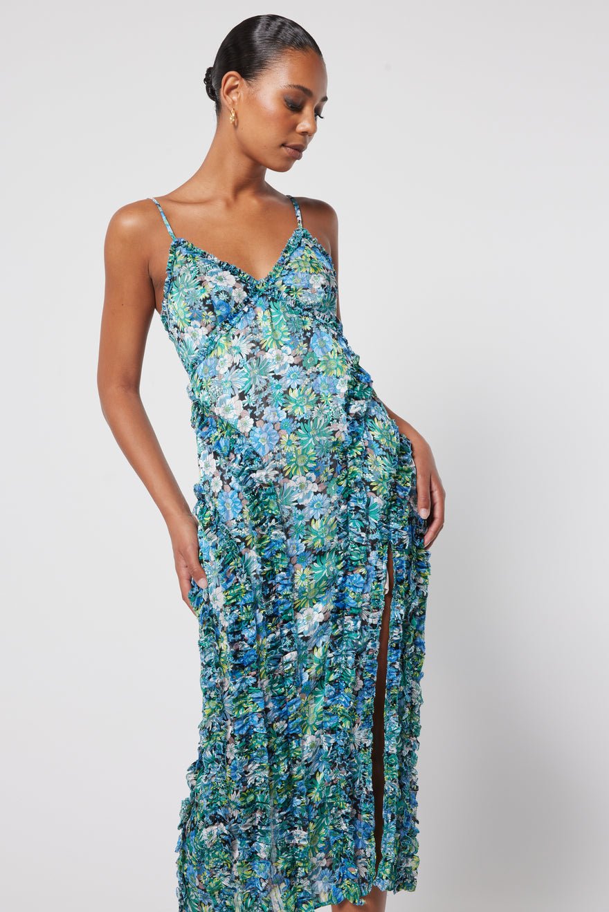 Elliatt Sigiriya Dress photo 3