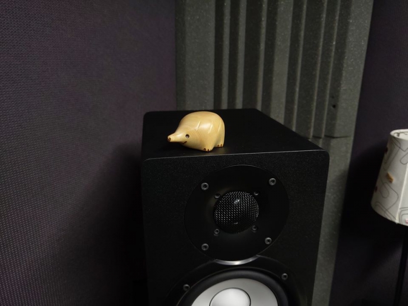 Echidna Audio Sound Isolation Studio photo 3