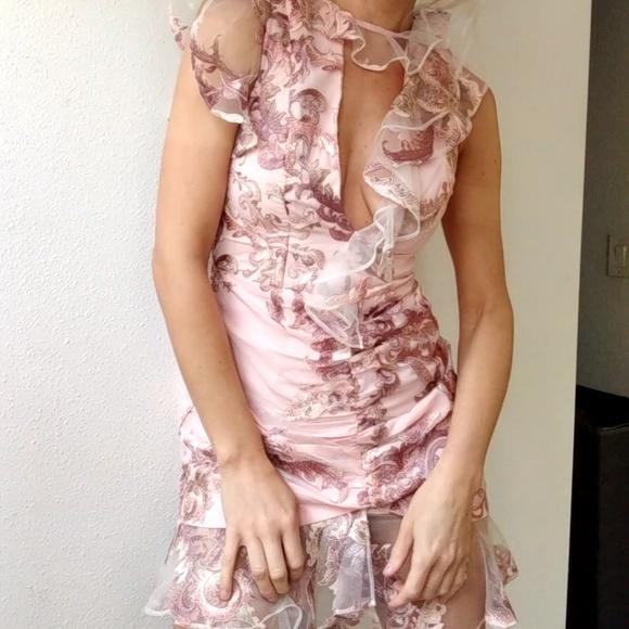 Atoir Stars valentines Mini Dress Pink Size 6 photo 5