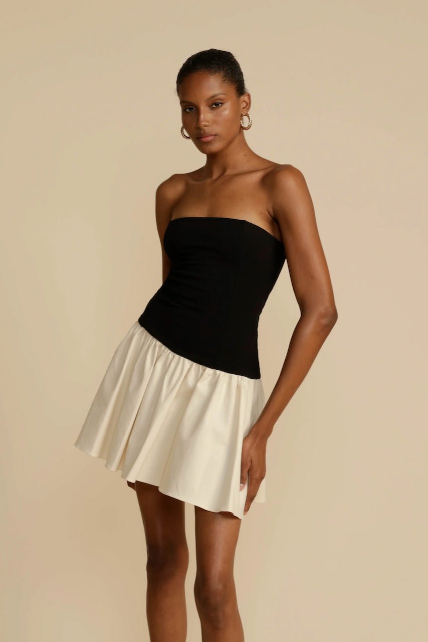 ARCINA ORI CELINE DRESS - BLACK/CREAM photo 9