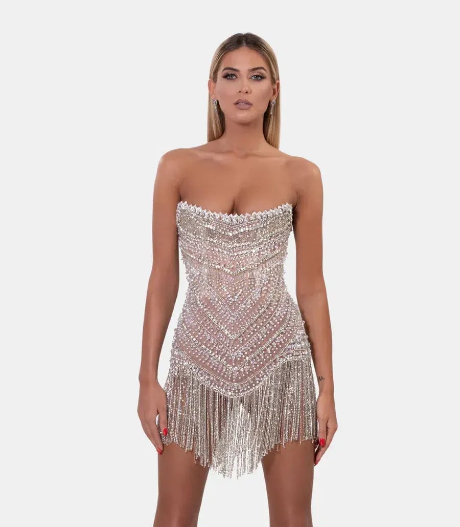Albina Dyla Wild Corset Dress Silver/Nude Size 6 photo 2