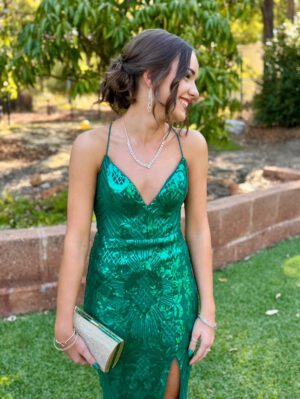 Bariano Mia Lace Up Gown photo 2