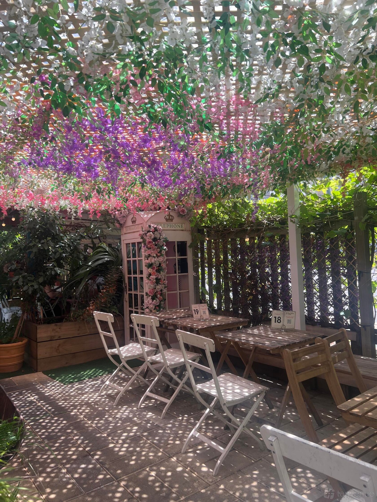 Courtyard at Lil Miss Collins Café Parramatta photo 3