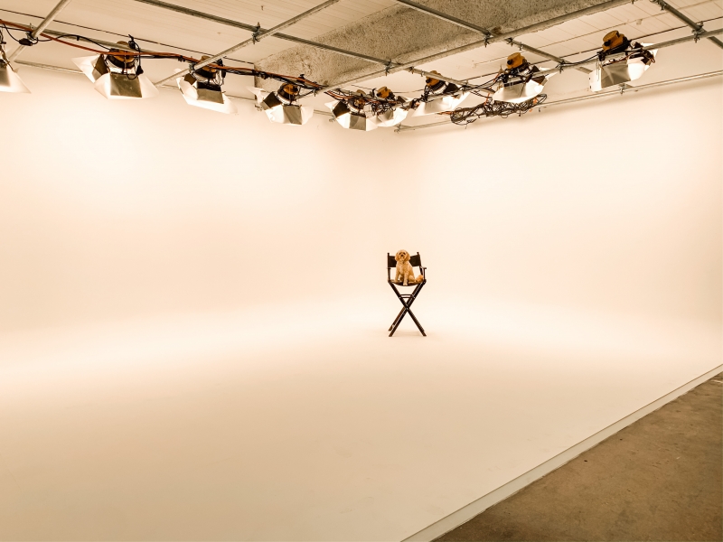 Toffee Studios photo 3