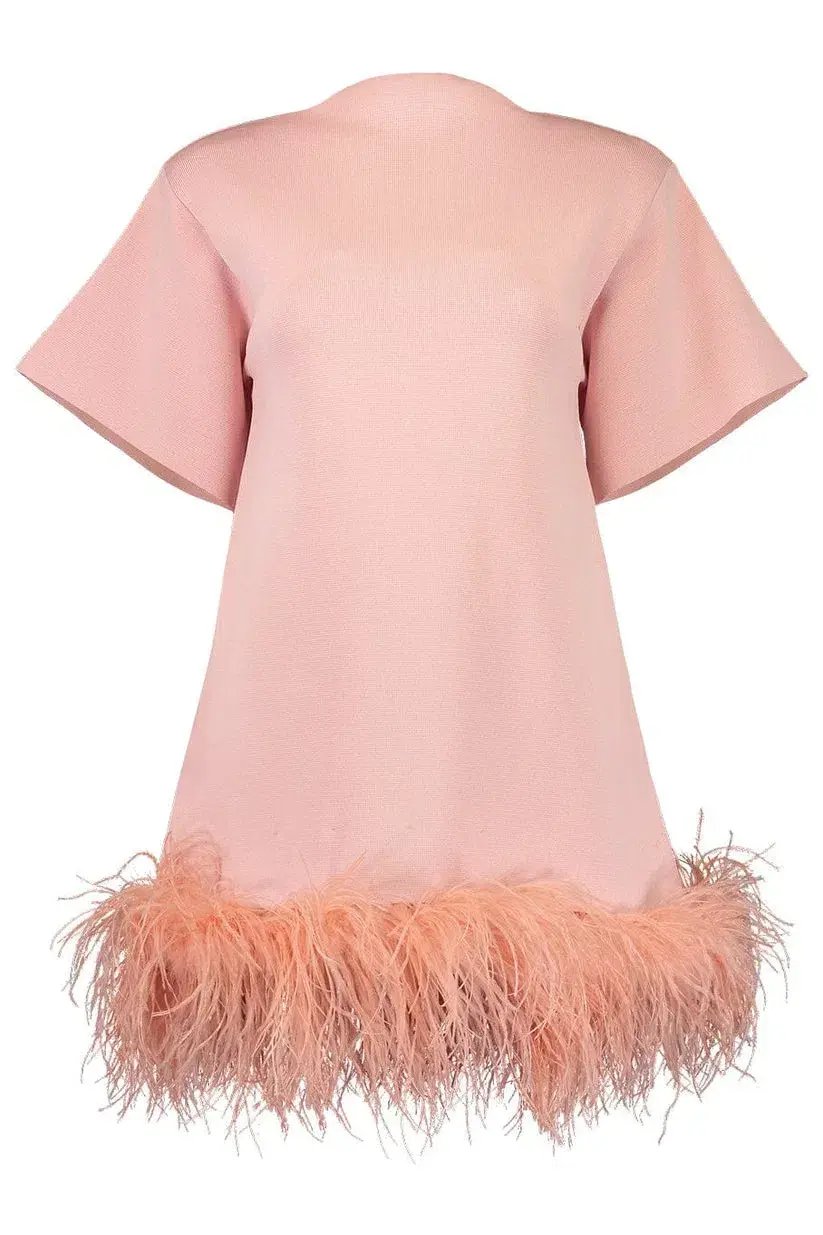 Rachel Gilbert Rita Mini Pink Size S / Size AU10 photo 4