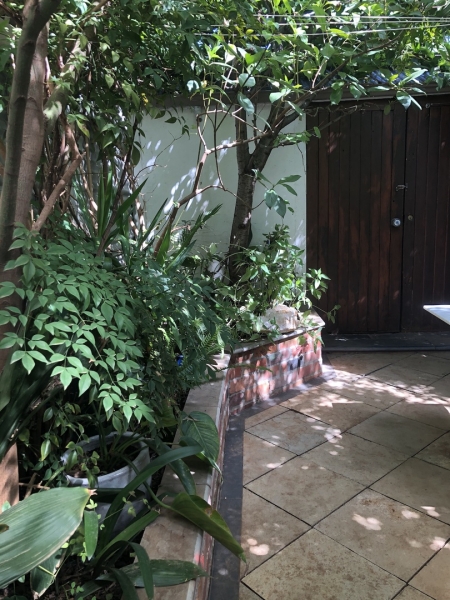 The Botanist Garden photo 4