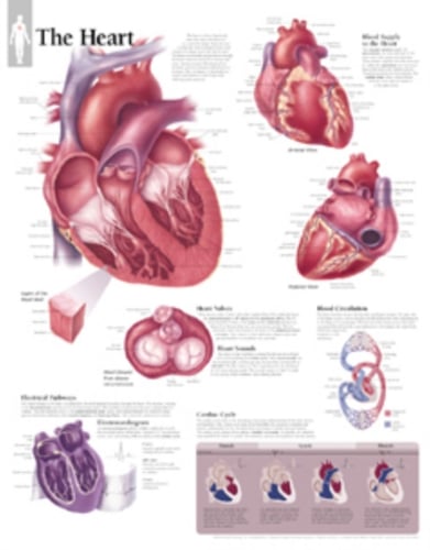 Heart Paper Poster_0