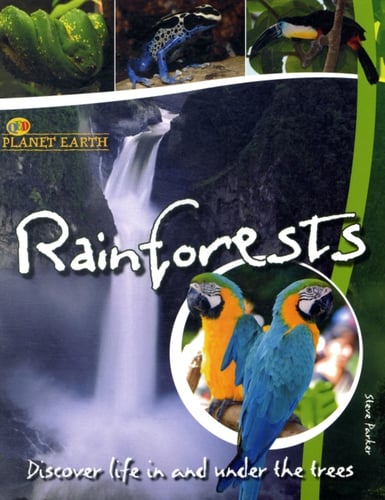 Rainforests - picture