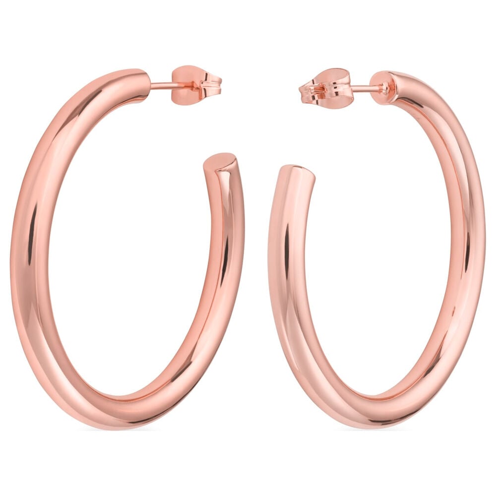 Ladies'Earrings Rosefield JCHBR-J082 (3 cm)_0