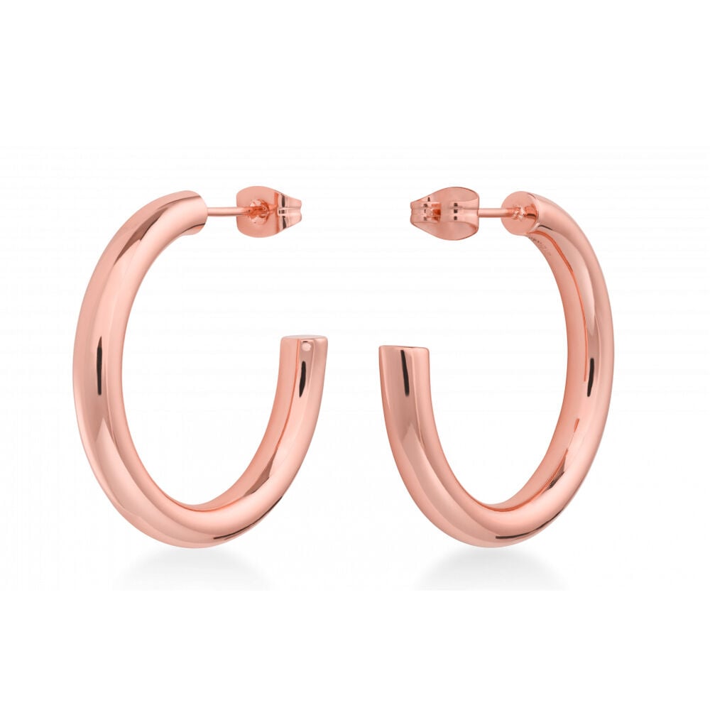 Ladies'Earrings Rosefield JCHSR-J085 (3 cm)_0