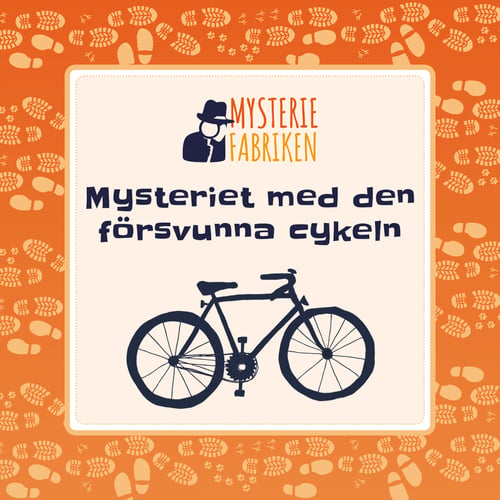 Mysteriet med den försvunna cykeln - picture
