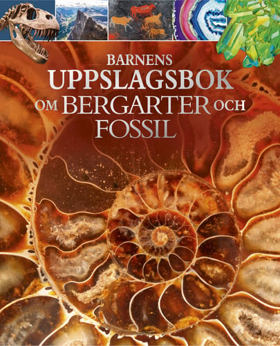 Barnens uppslagsbok om bergarter och fossil - picture