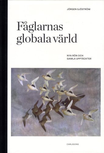 Fåglarnas globala värld : nya rön och gammal kunskap_0